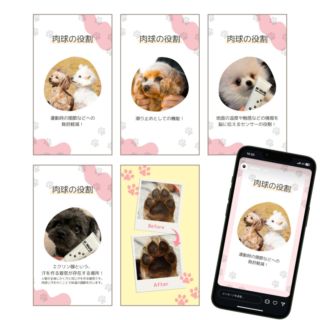 NIKUQ 様｜Instagramハイライトデザイン（肉球の役割・ビフォーアフター）