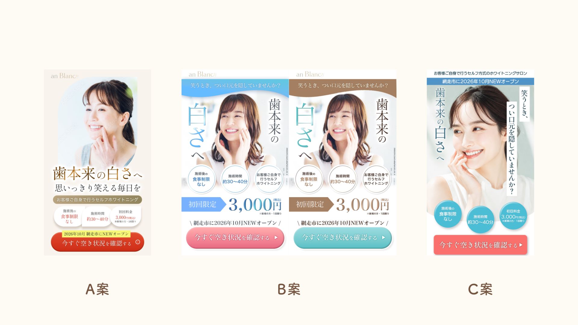 FV初稿3案提案
